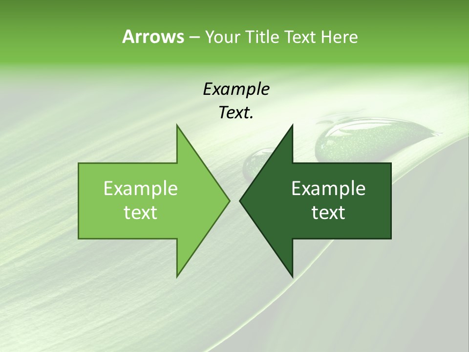 Botany Green Water PowerPoint Template