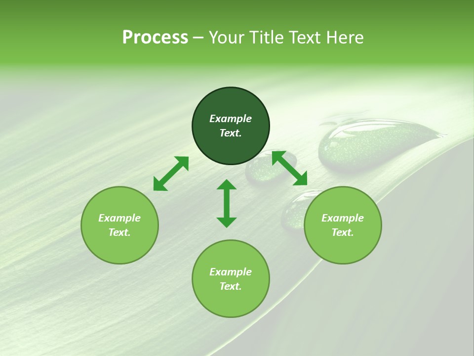 Botany Green Water PowerPoint Template