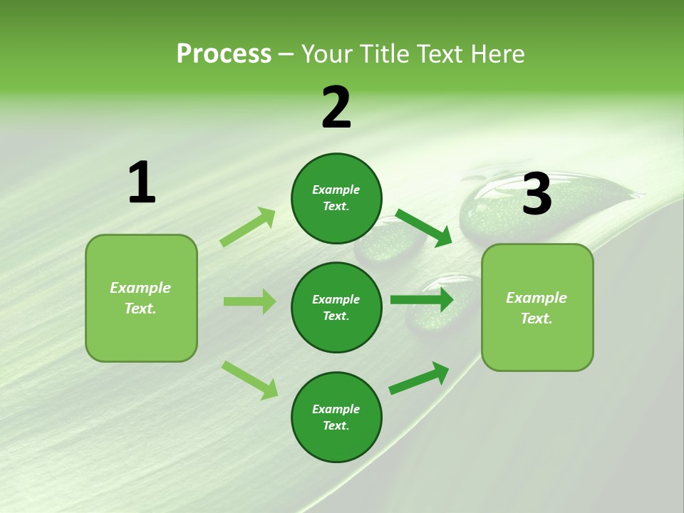 Botany Green Water PowerPoint Template
