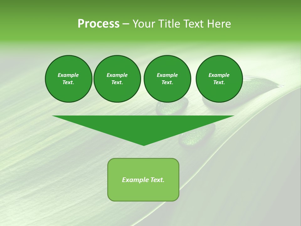 Botany Green Water PowerPoint Template