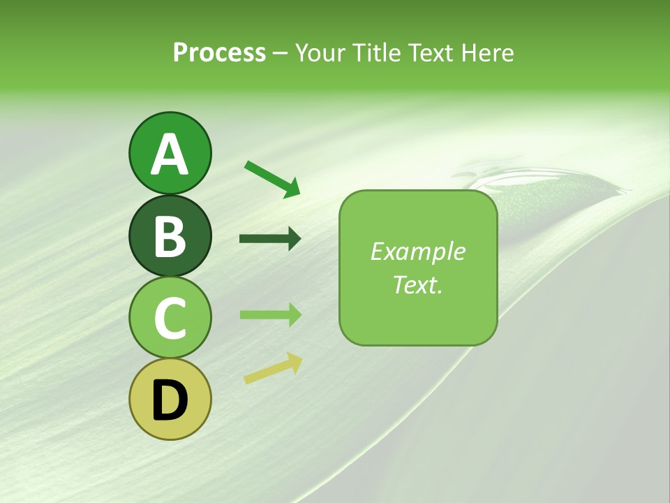 Botany Green Water PowerPoint Template