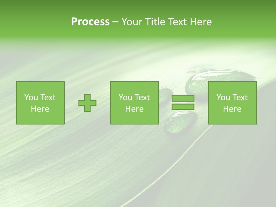 Botany Green Water PowerPoint Template