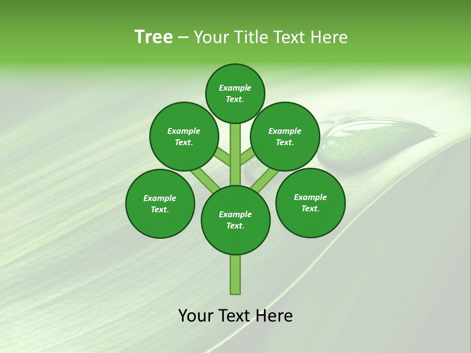 Botany Green Water PowerPoint Template