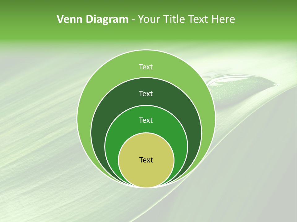 Botany Green Water PowerPoint Template