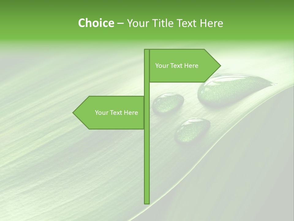 Botany Green Water PowerPoint Template