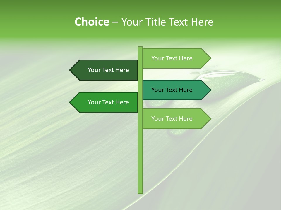 Botany Green Water PowerPoint Template