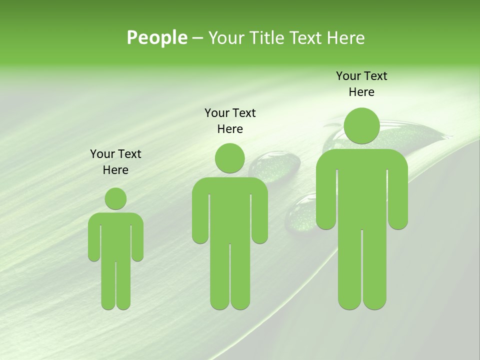 Botany Green Water PowerPoint Template