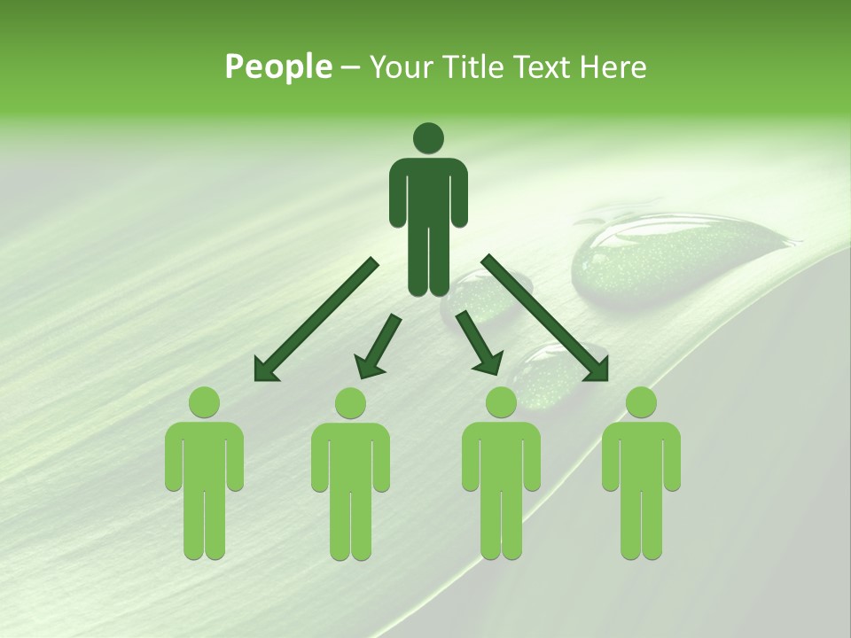 Botany Green Water PowerPoint Template