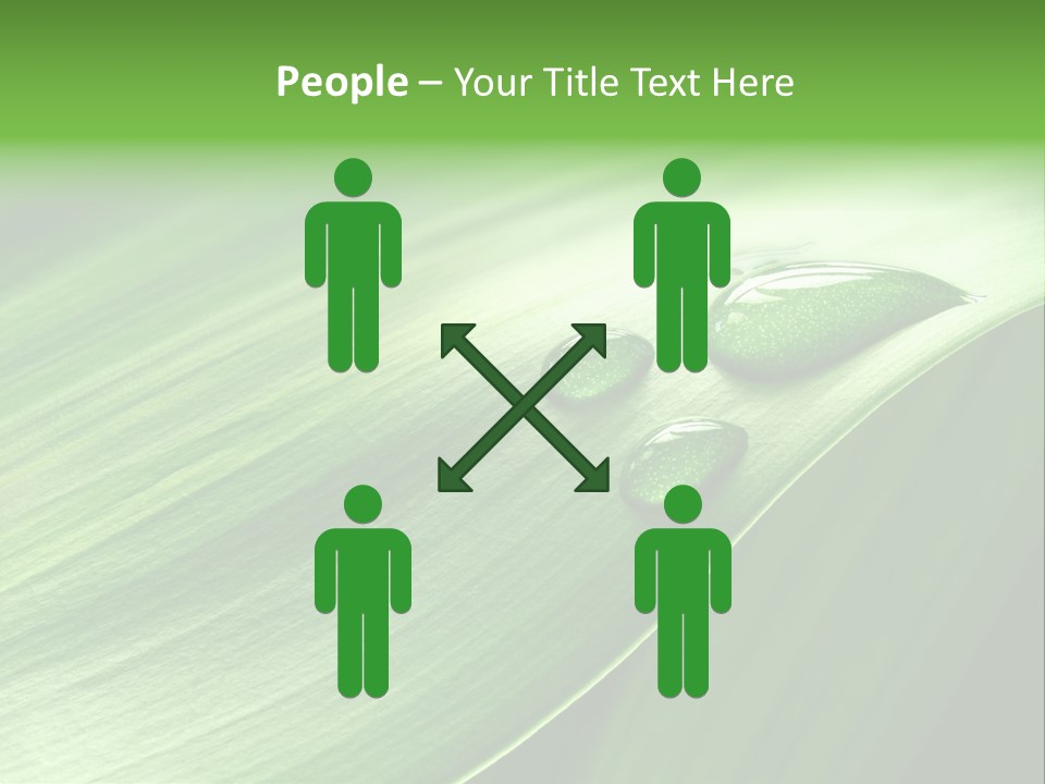 Botany Green Water PowerPoint Template