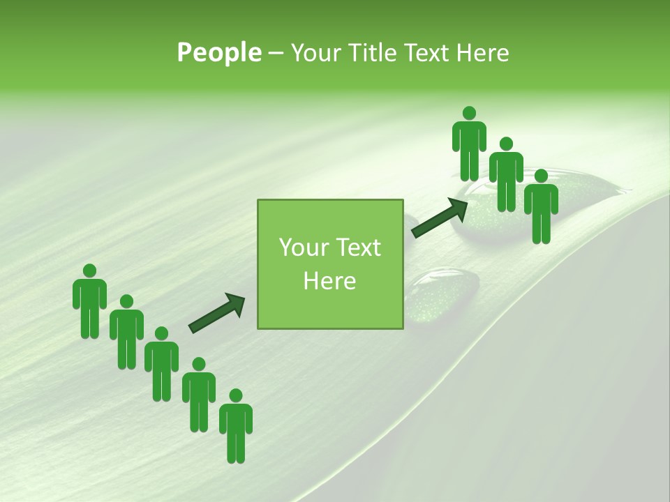 Botany Green Water PowerPoint Template