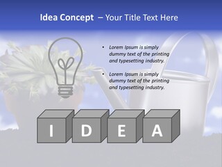 Gain Yellow White PowerPoint Template