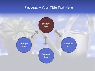 Gain Yellow White PowerPoint Template