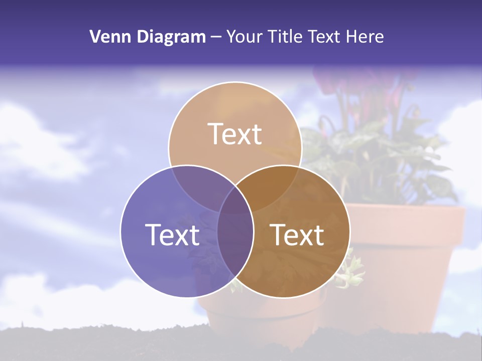 Precious Currency Block PowerPoint Template