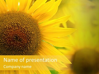 Flower Nature Blooming PowerPoint Template