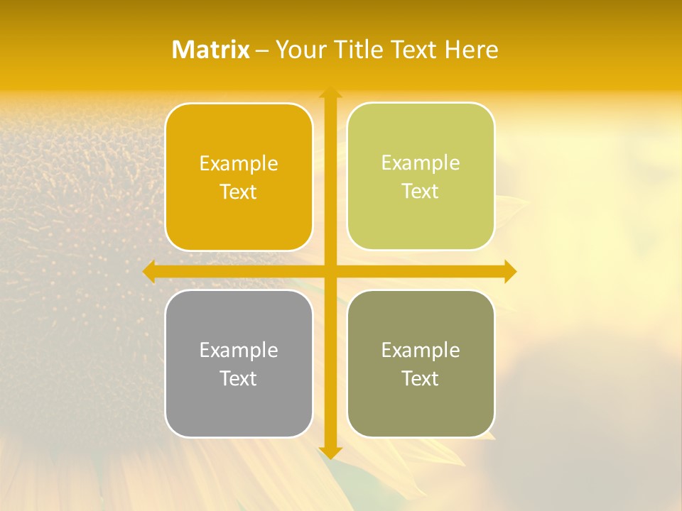 Flower Nature Blooming PowerPoint Template