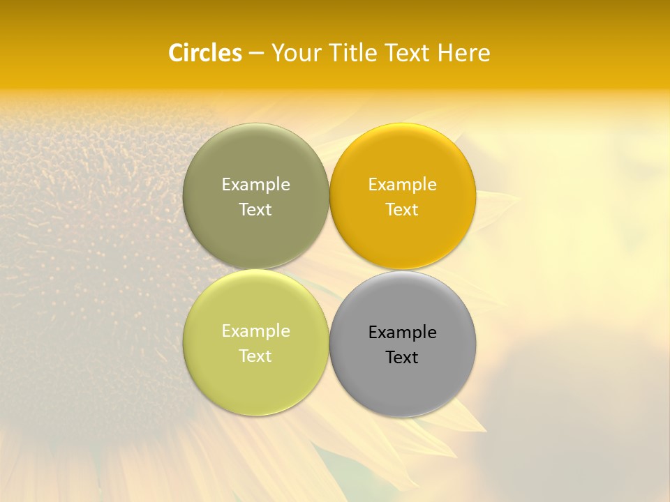 Flower Nature Blooming PowerPoint Template