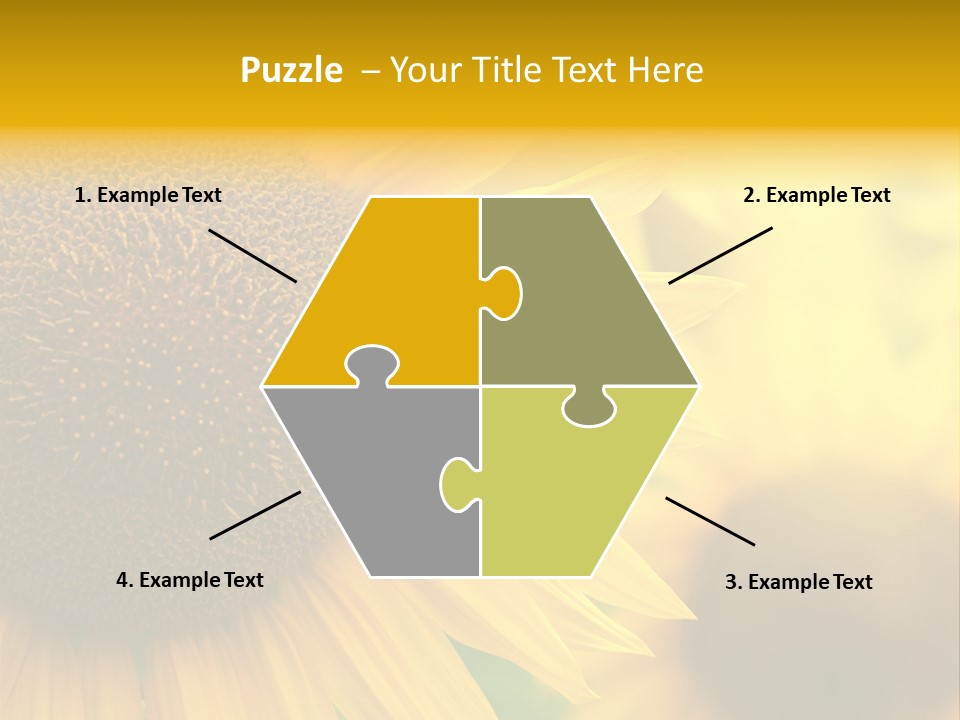 Flower Nature Blooming PowerPoint Template