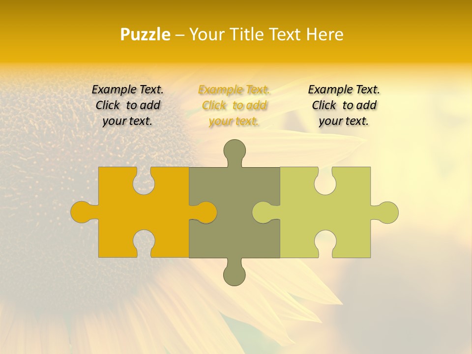 Flower Nature Blooming PowerPoint Template