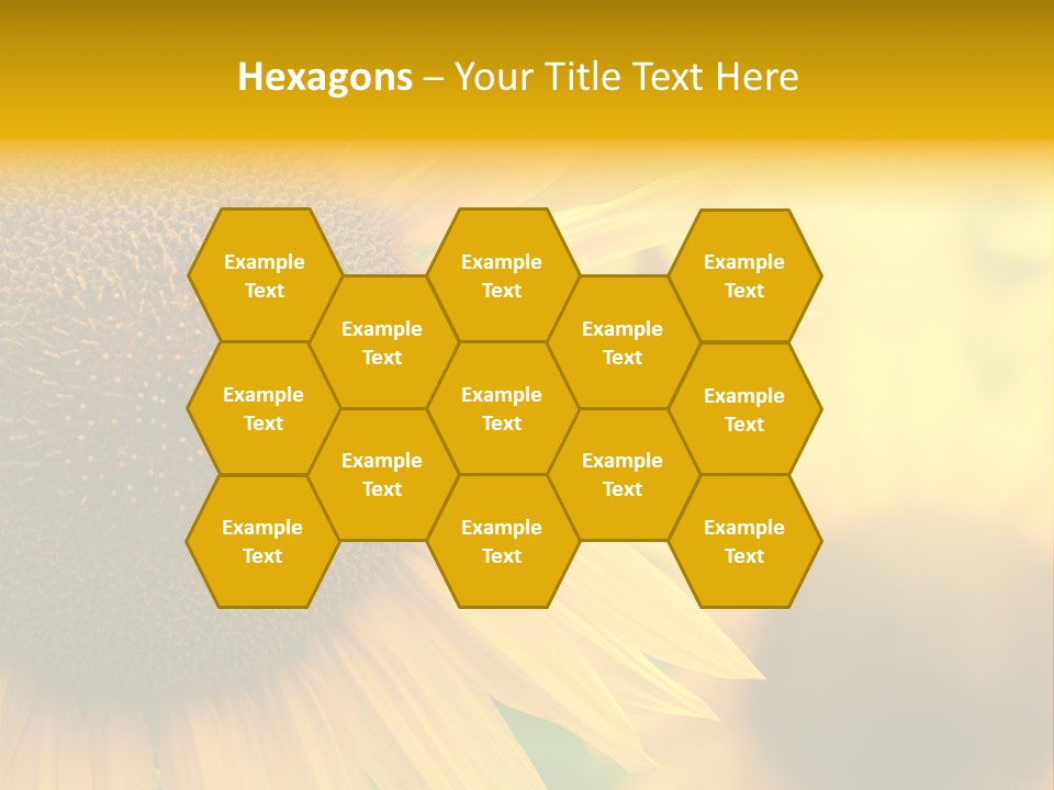 Flower Nature Blooming PowerPoint Template