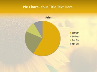 Flower Nature Blooming PowerPoint Template