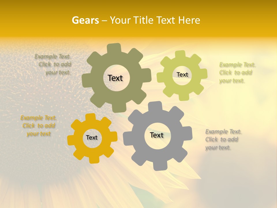 Flower Nature Blooming PowerPoint Template