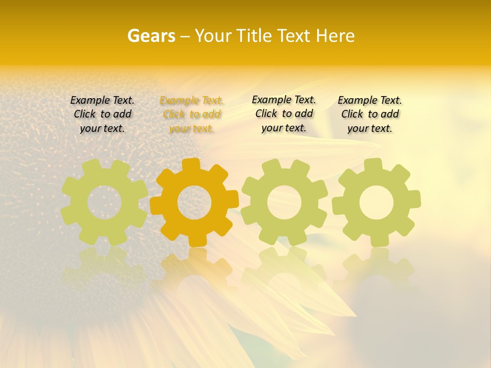 Flower Nature Blooming PowerPoint Template