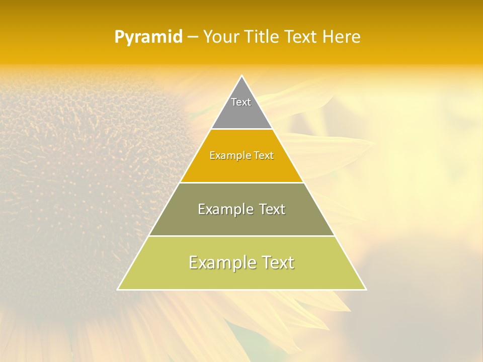 Flower Nature Blooming PowerPoint Template