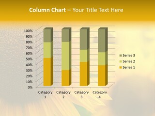 Flower Nature Blooming PowerPoint Template