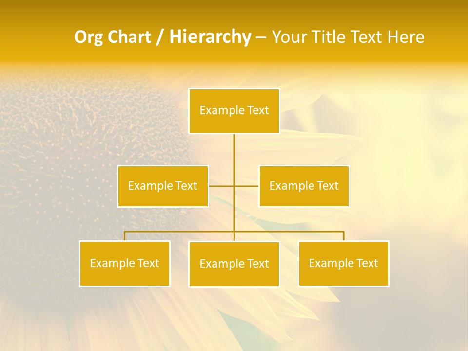 Flower Nature Blooming PowerPoint Template