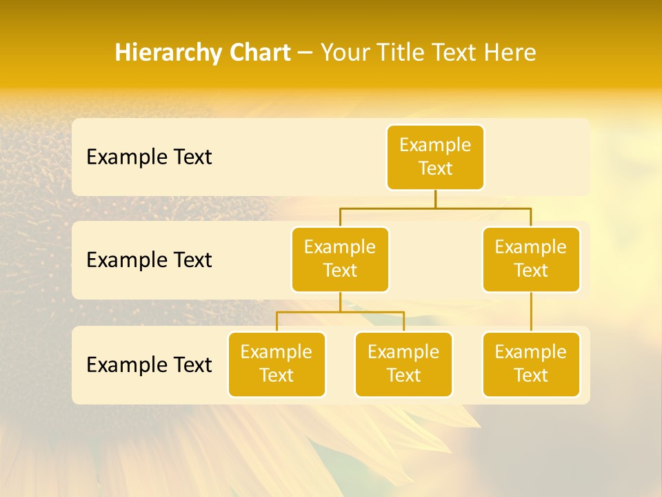 Flower Nature Blooming PowerPoint Template