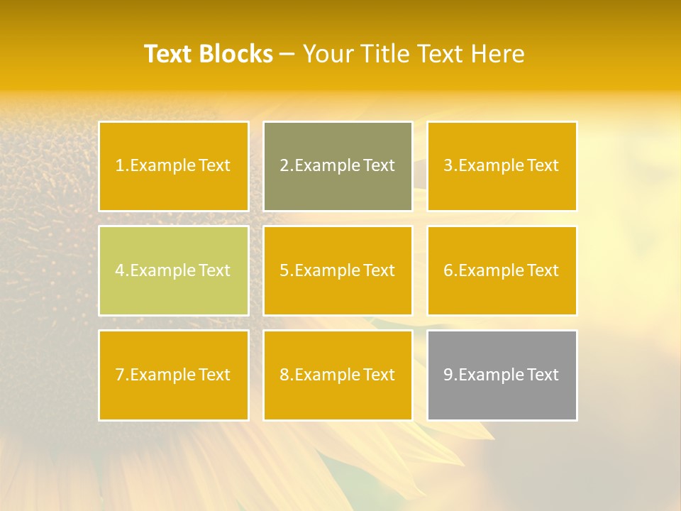 Flower Nature Blooming PowerPoint Template