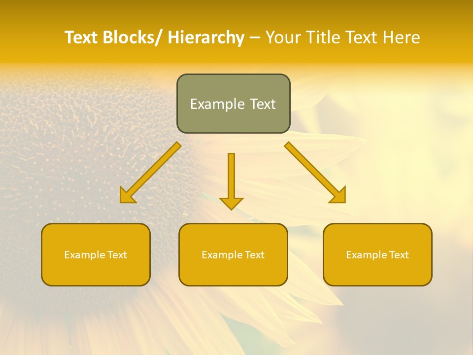 Flower Nature Blooming PowerPoint Template