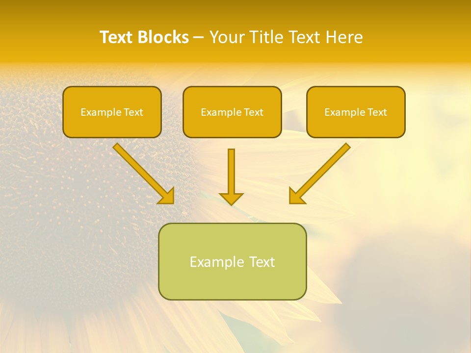 Flower Nature Blooming PowerPoint Template