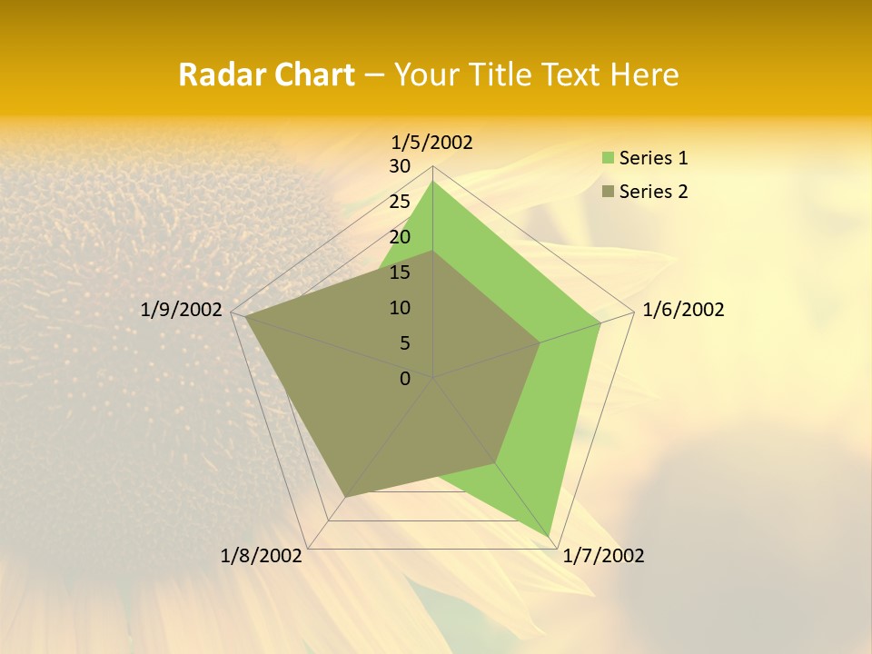 Flower Nature Blooming PowerPoint Template