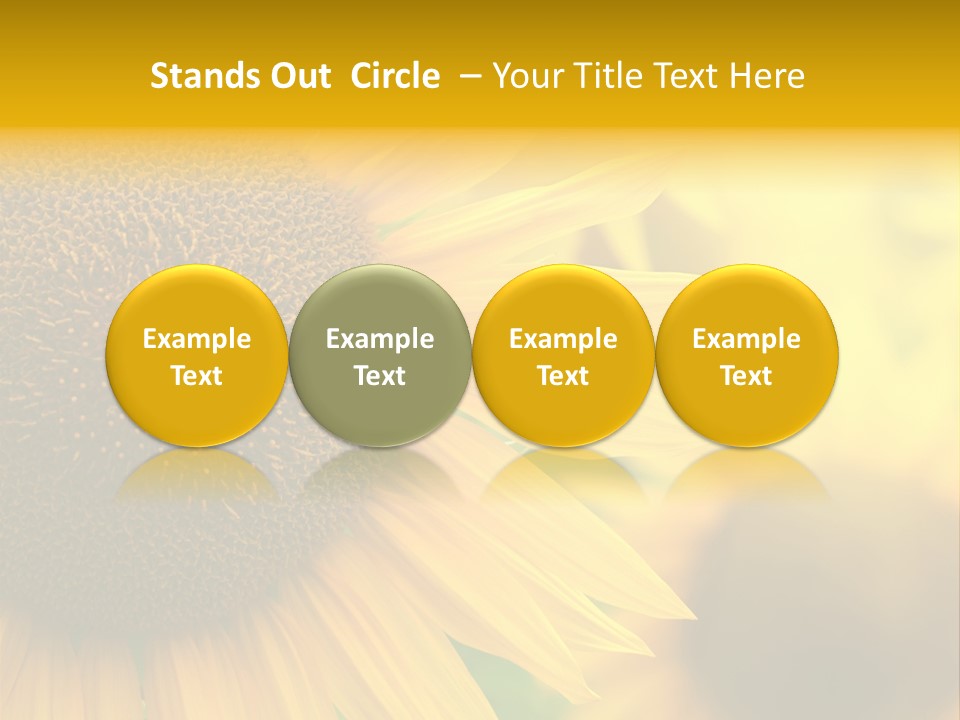 Flower Nature Blooming PowerPoint Template