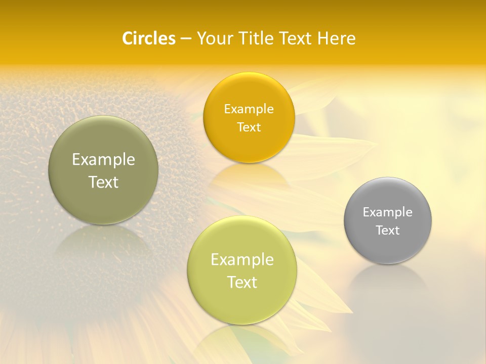 Flower Nature Blooming PowerPoint Template