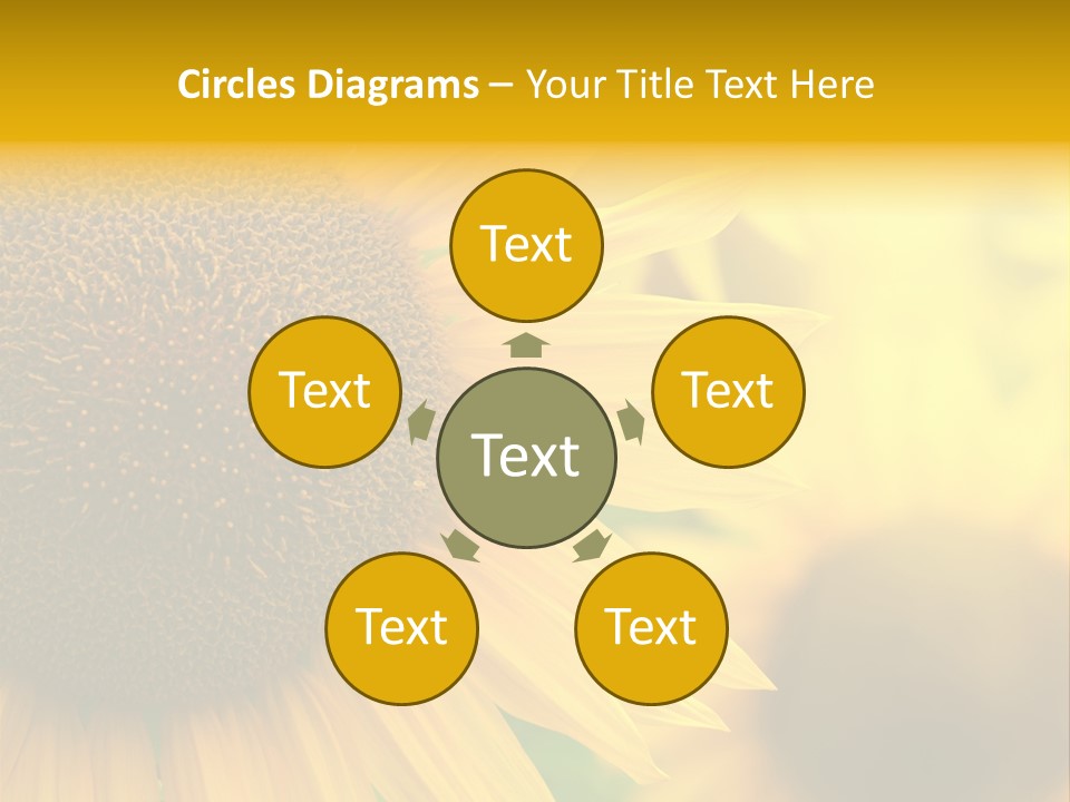 Flower Nature Blooming PowerPoint Template