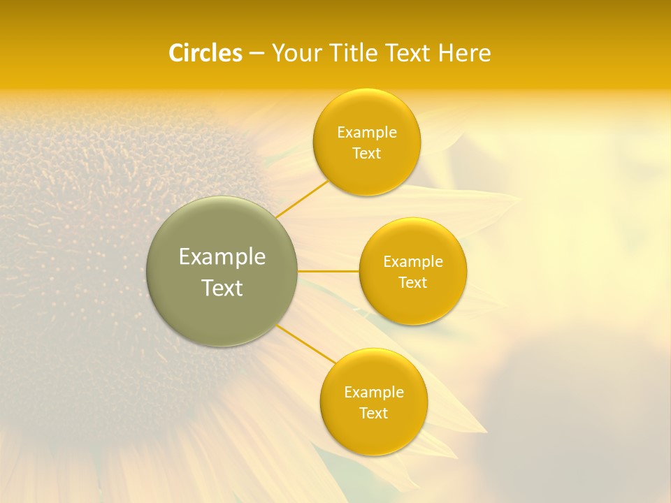 Flower Nature Blooming PowerPoint Template