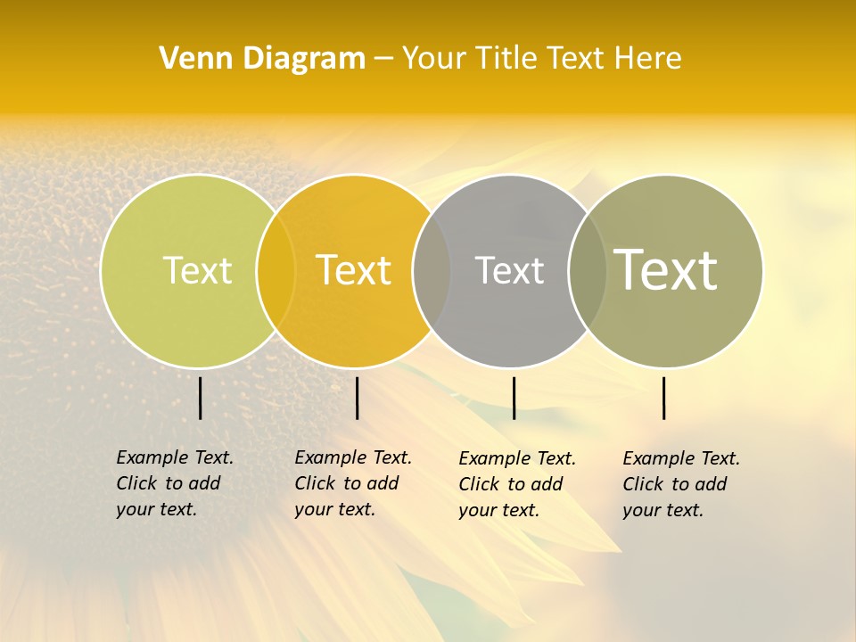 Flower Nature Blooming PowerPoint Template