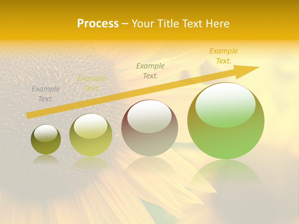 Flower Nature Blooming PowerPoint Template