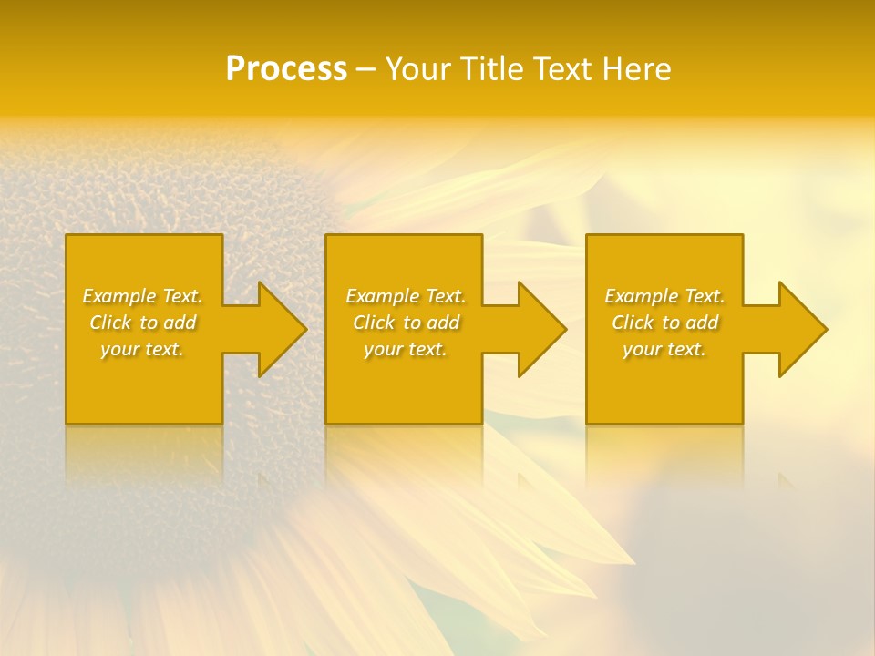 Flower Nature Blooming PowerPoint Template