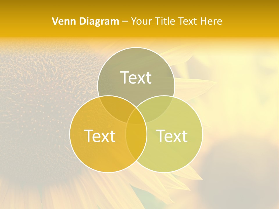 Flower Nature Blooming PowerPoint Template