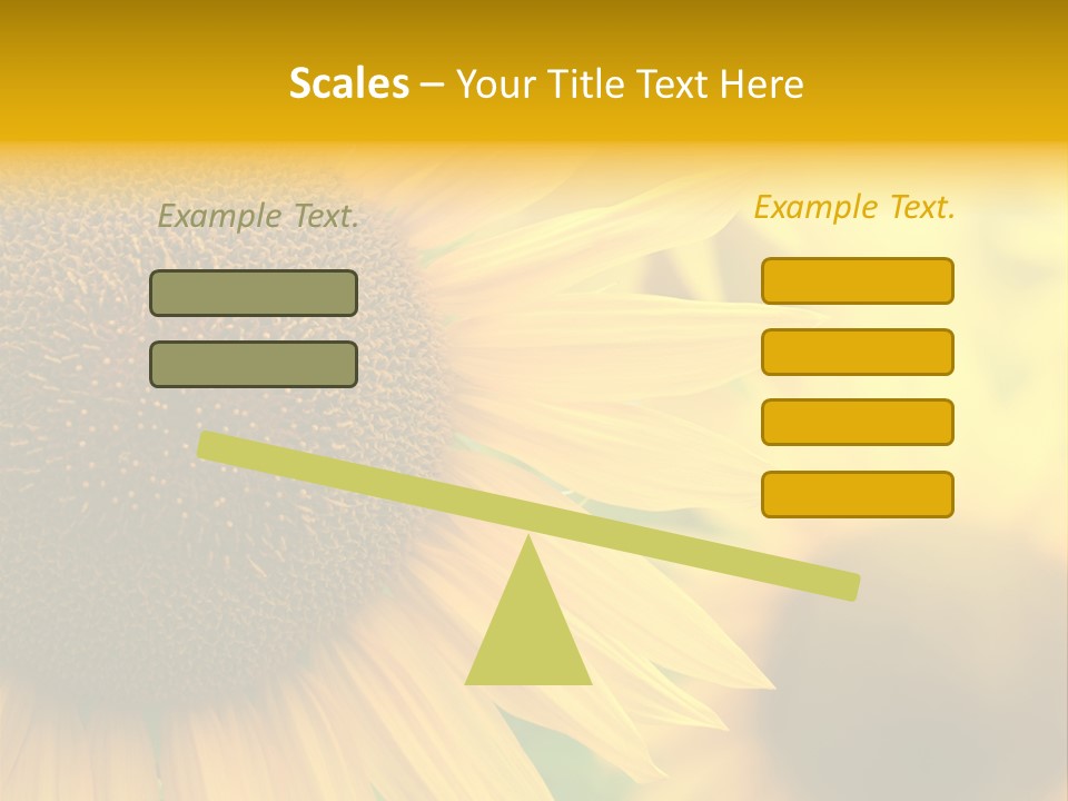 Flower Nature Blooming PowerPoint Template