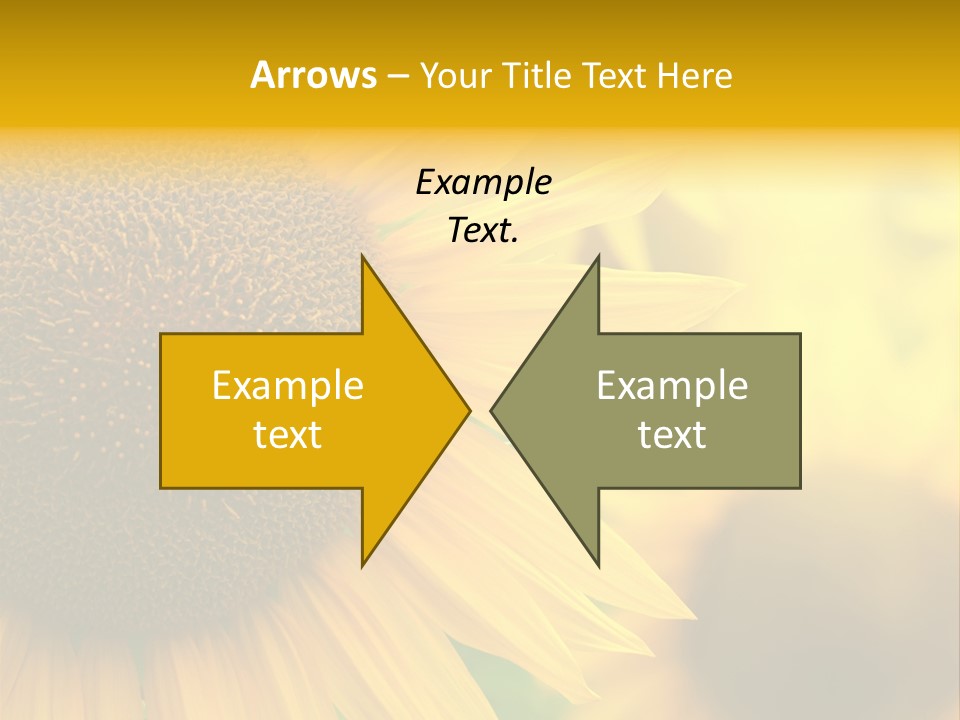 Flower Nature Blooming PowerPoint Template