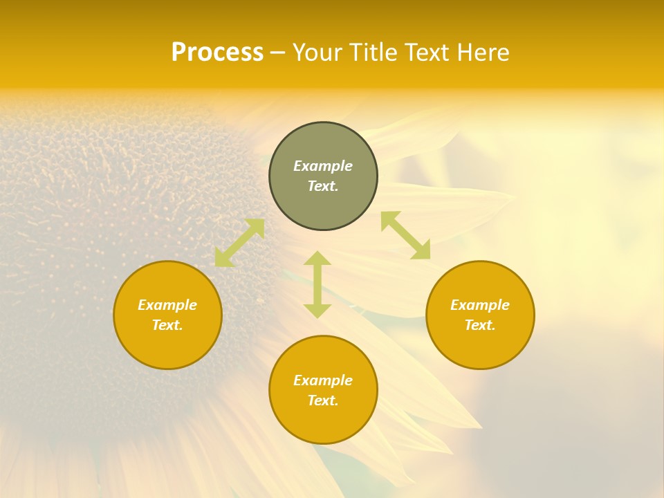Flower Nature Blooming PowerPoint Template