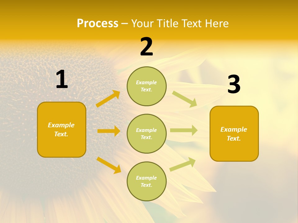 Flower Nature Blooming PowerPoint Template