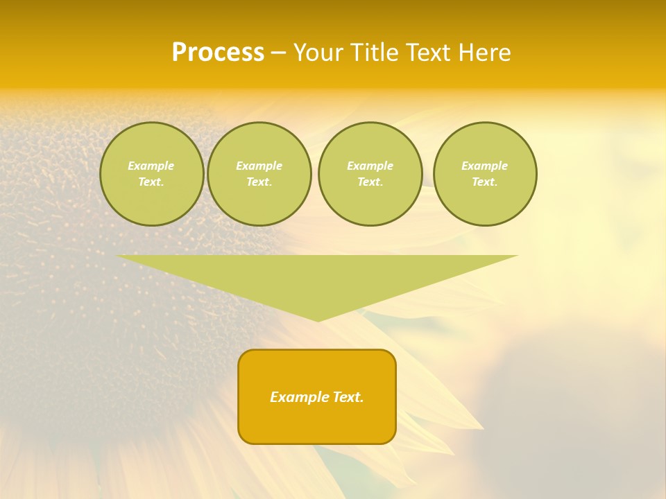 Flower Nature Blooming PowerPoint Template