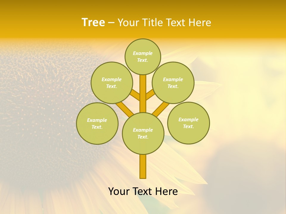 Flower Nature Blooming PowerPoint Template