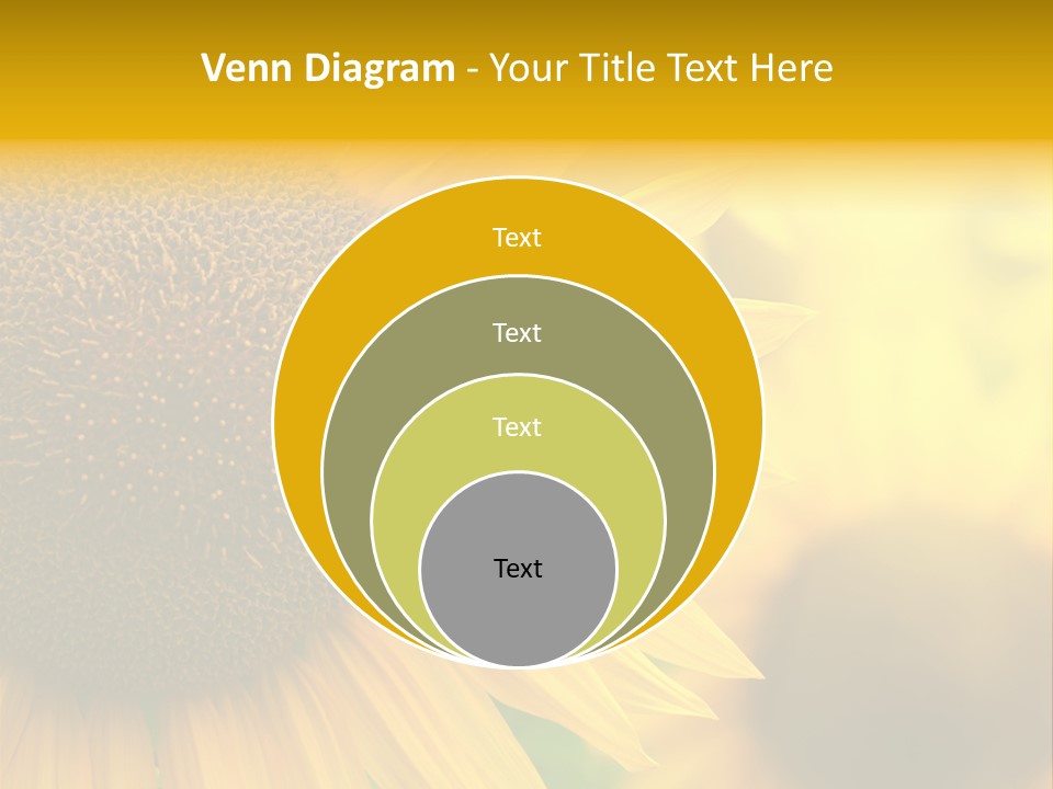 Flower Nature Blooming PowerPoint Template