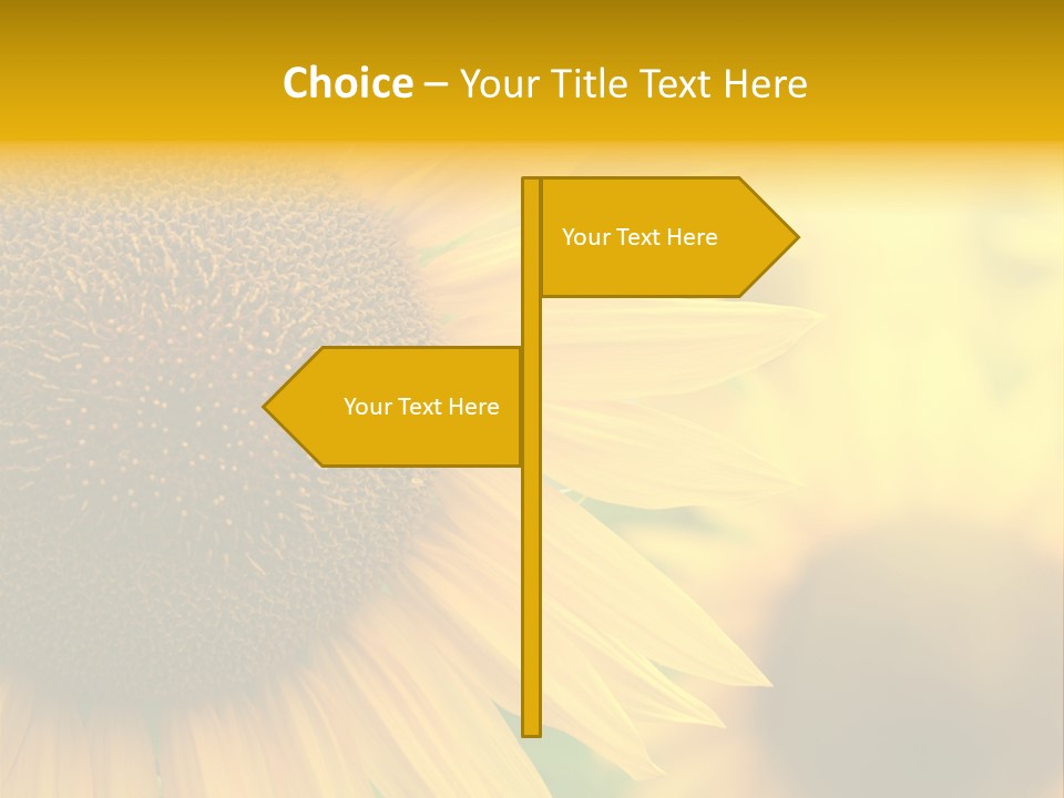 Flower Nature Blooming PowerPoint Template